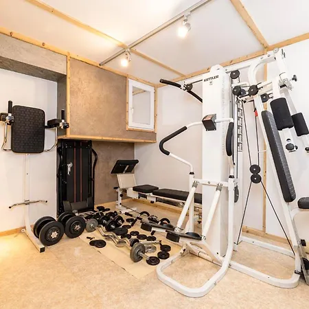 Modern Life Apartment Ramsau im Zillertal